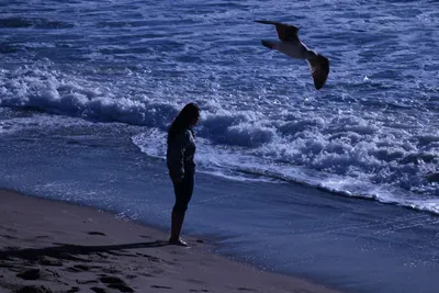 DSC_0408 (Large).JPG